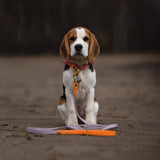 Laisse 5/8'' heavy duty 2 couleurs