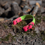 Collier martingale 1'' heavy duty