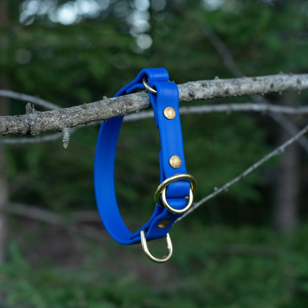 3/4'' heavy duty mystery color long line – BioWild Collars