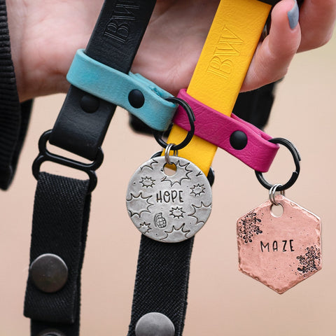 Porte-médaille à inséré 1/2'' BioThane® standard pour e-collar