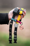 PRÉ-COMMANDE Collier 3/4'' pour e-collar en biothane standard