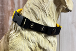 PRÉ-COMMANDE Collier 3/4'' pour e-collar en biothane standard