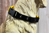 PRÉ-COMMANDE Collier 3/4'' pour e-collar en biothane standard