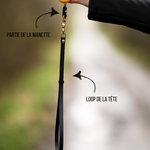 Leash 1/2'' standard biothane