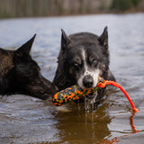 Flotteur léger avec poignée en Biothane® – Pour jeux aquatiques canins