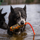 Flotteur léger avec poignée en Biothane® – Pour jeux aquatiques canins