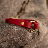 3/4'' heavy duty hunter collar
