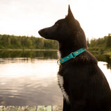 Limited slip 1'' heavy duty collar