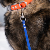 Leash 1/2'' standard biothane