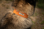 3/4'' hunter collar with braid heavy duty