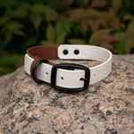 Collier 2 tons 1'' heavy duty
