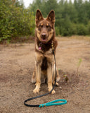 Laisse 5/8'' avec poignée en BioThane® GRIP heavy duty