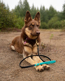 Laisse 5/8'' avec poignée en BioThane® GRIP heavy duty