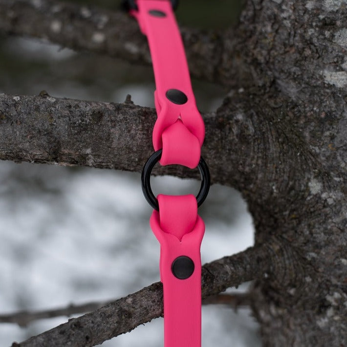 3/4'' hunter collar with braid heavy duty – BioWild Collars